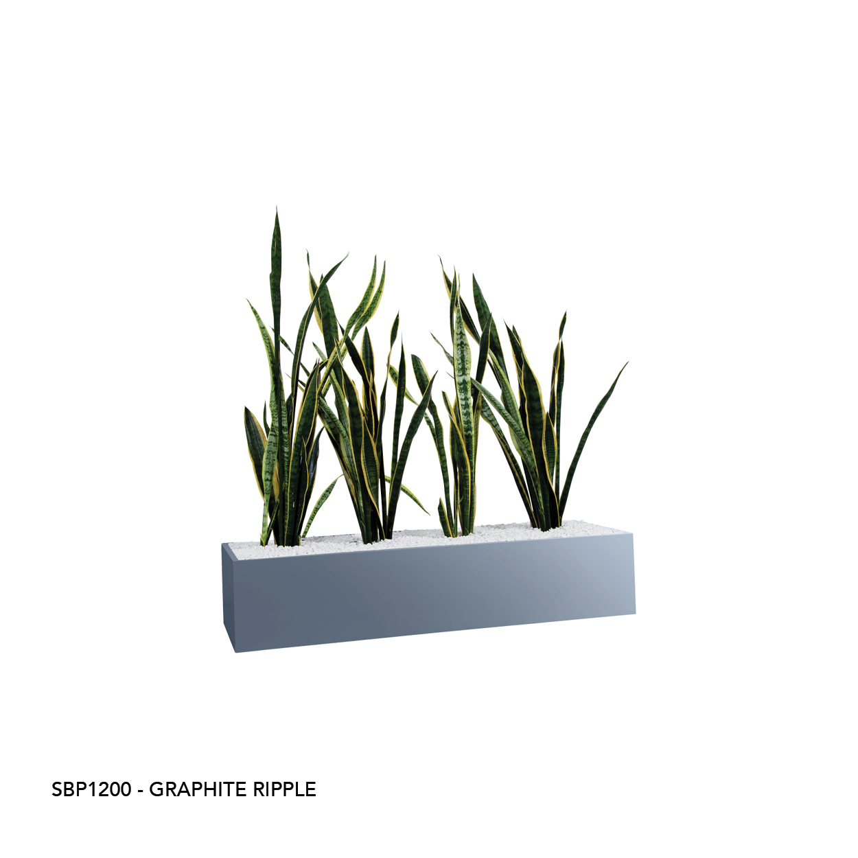 SBP1200 GRAPHITE RIPPLE