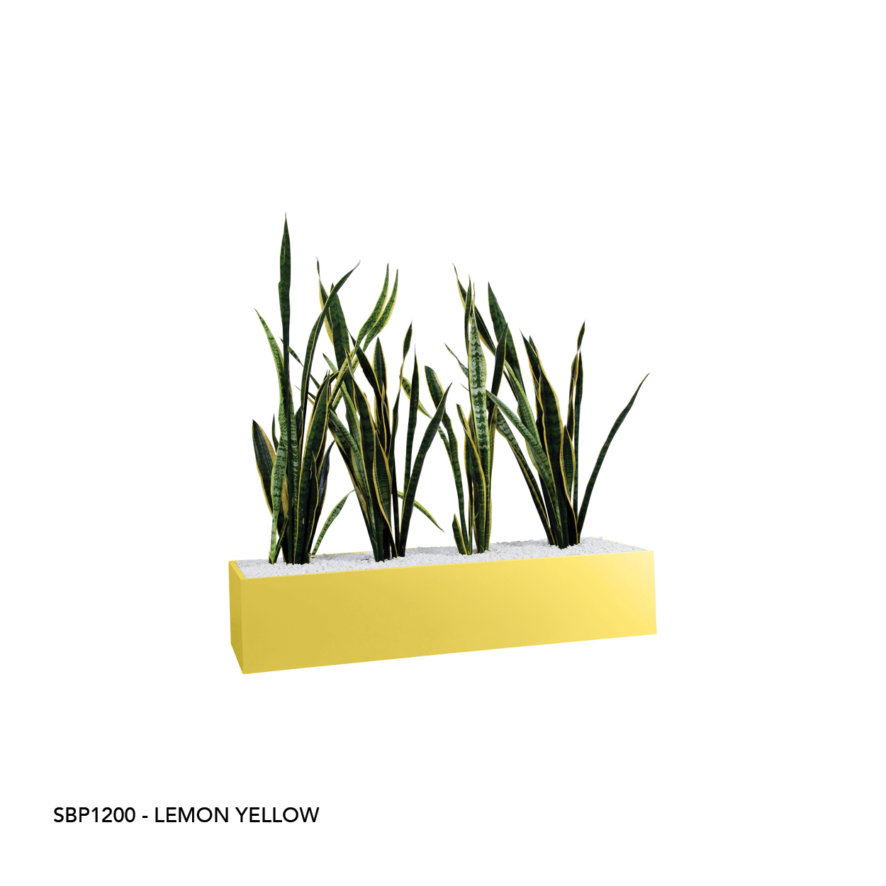 SBP1200 LEMON YELLOW