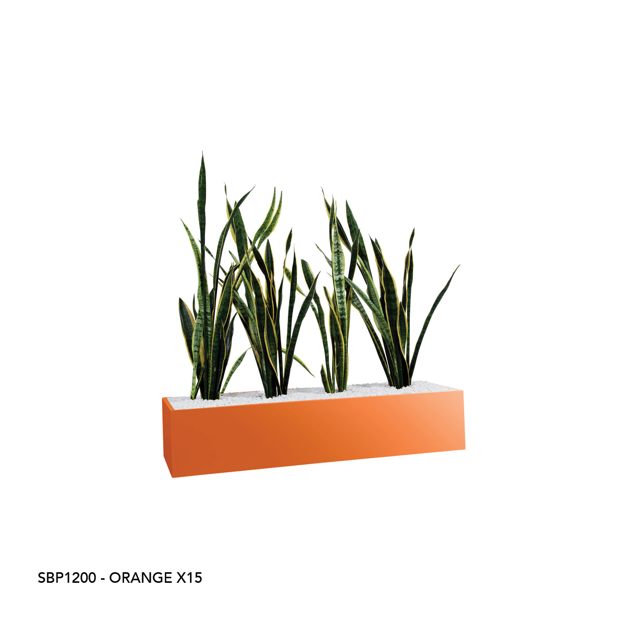 SBP1200 ORANGE X15