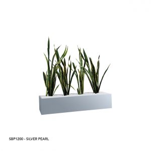 SBP1200 SILVER PEARL