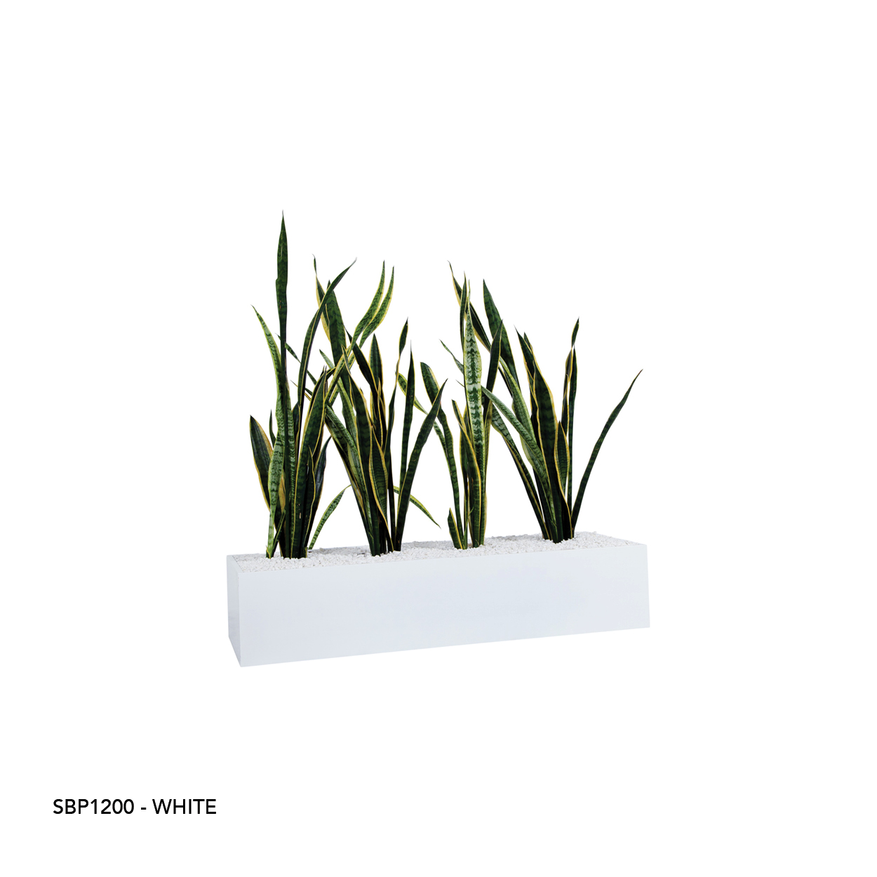 SBP1200 WHITE