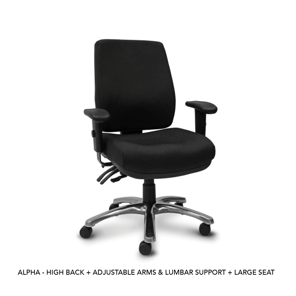 ALPHA - HB WITH ADJ ARMS & LUMBAR SUPPORT