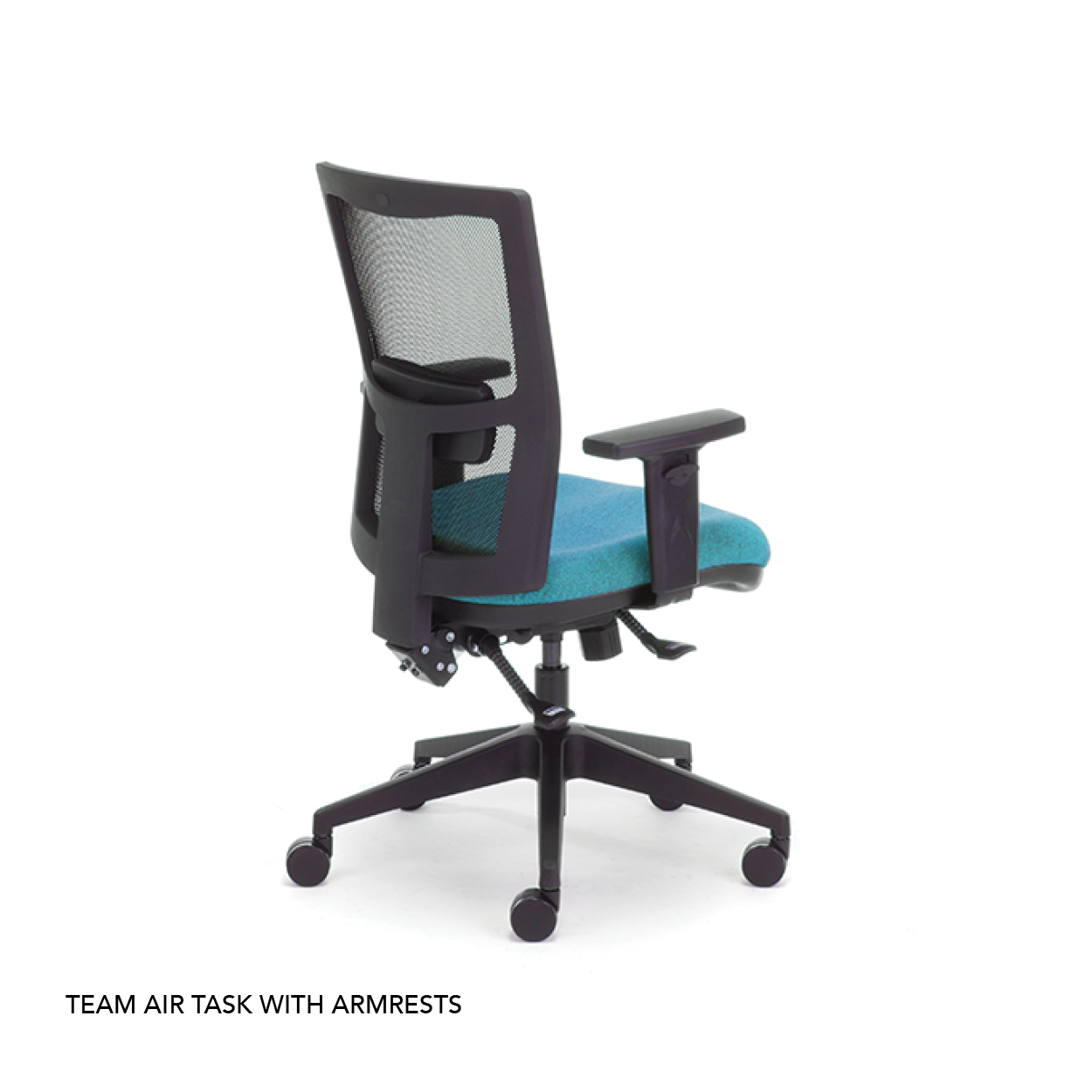 TEAM AIR TASK - ARMS_2